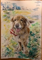 Painting of a golden retriever dog with a red and white bandana