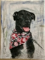 Painting of a black dog with a red, white, and black bandana
